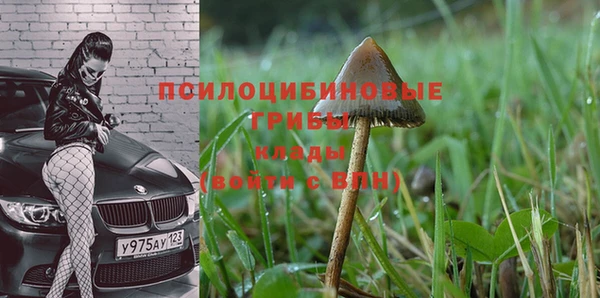 ECSTASY Алексеевка