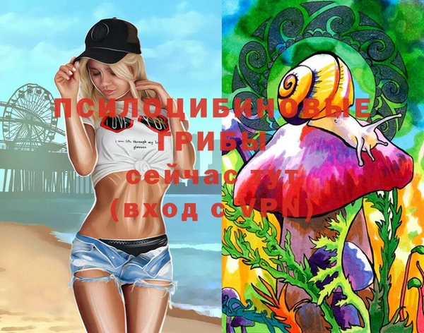 ECSTASY Алексеевка