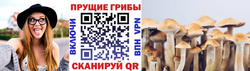 Галлюциногенные грибы мухоморы мега как войти Кирс